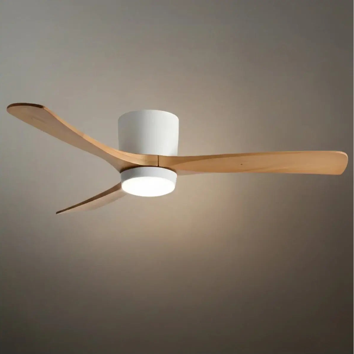 Lunara Nordic Ceiling Fan Light